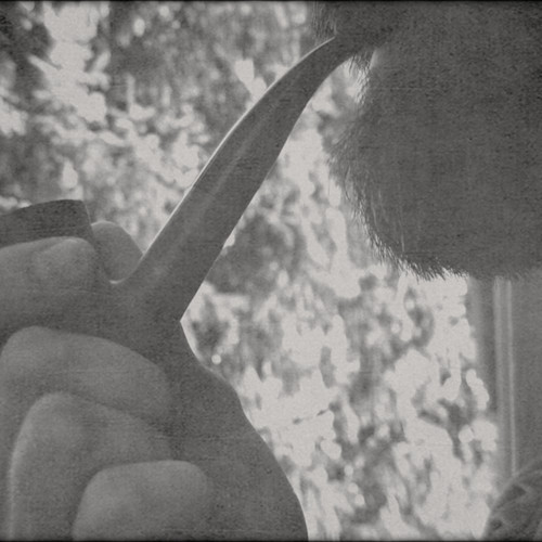 Only For Robots 048 – Petstov