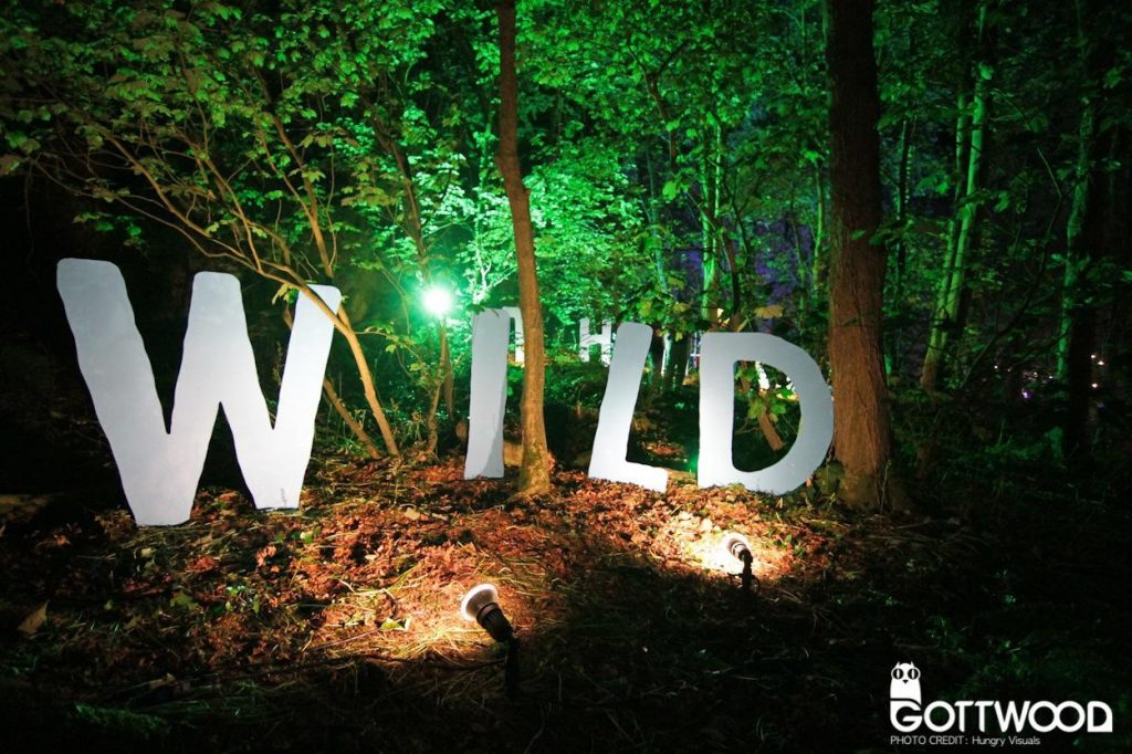 Festival Guide: Gottwood