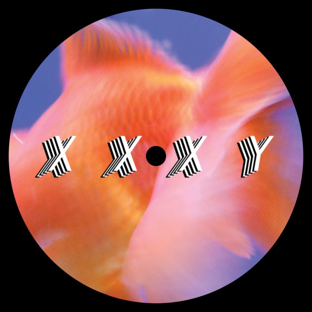 XXXY – ‘Goldfish’