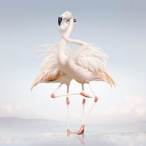 Stream Rustie’s New Album ‘Green Language’