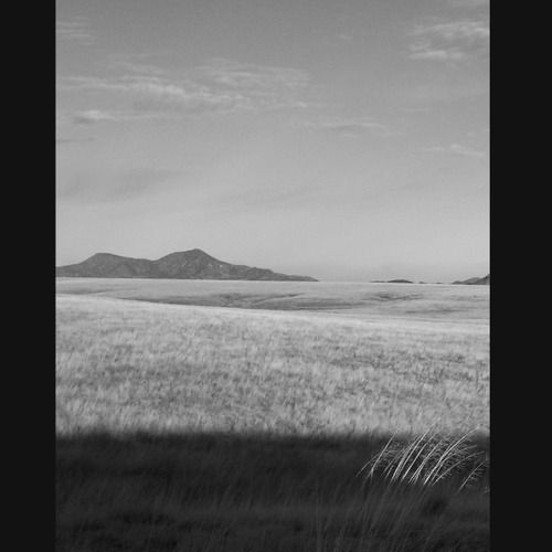 Arcing Seas – ‘Converging Prey’ EP