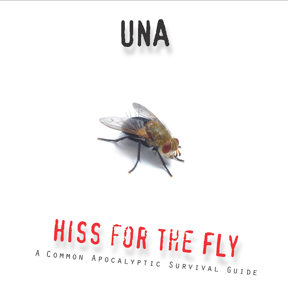 UNA – Hiss for the Fly (Remixes) (Cool Jewel Records)