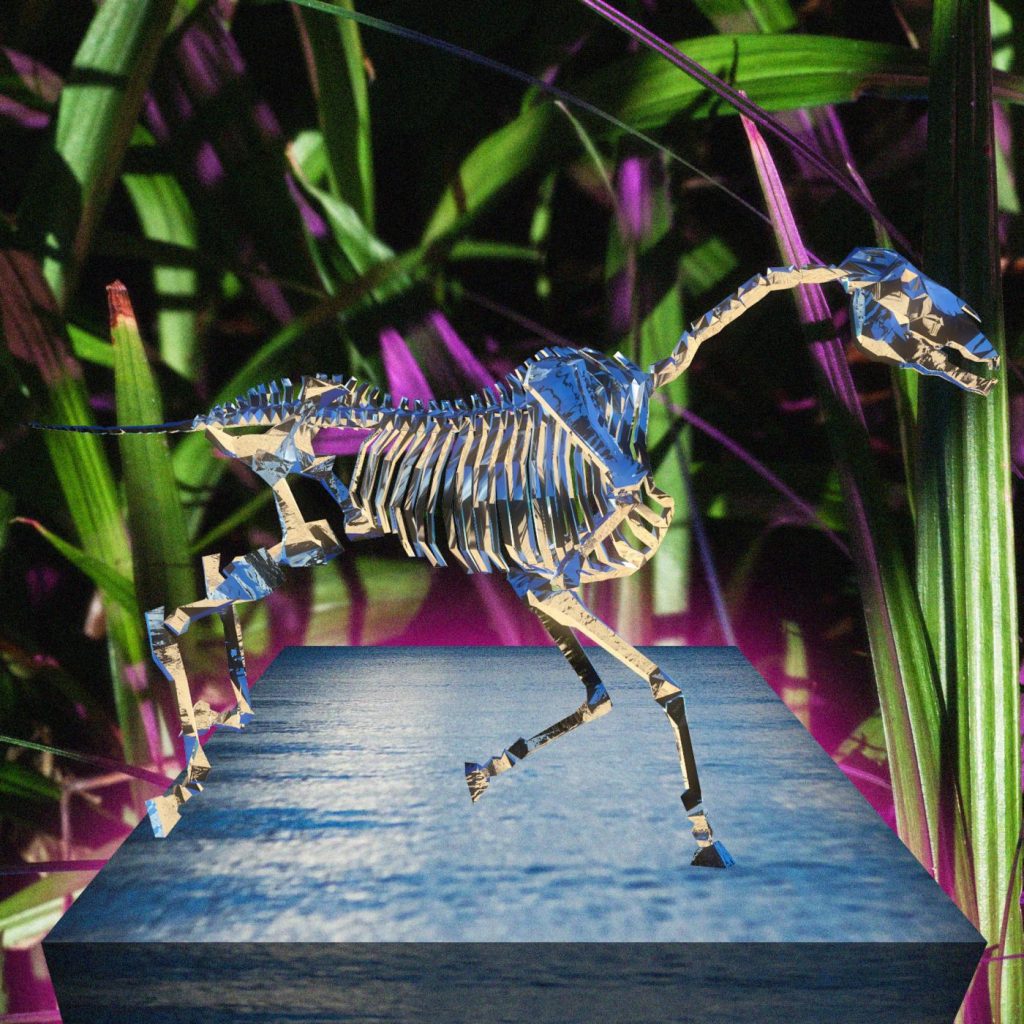 Duck Fight Goose – A Nation of Disillusion (Official Video)