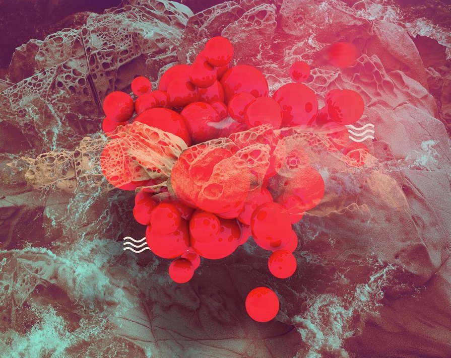 Mikalogic – ‘Ammonia’ EP